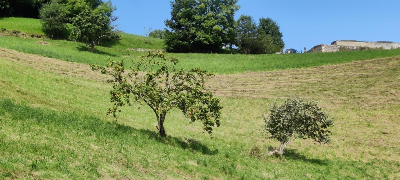 Arenas de Cabrales, Ángel Inguanzo